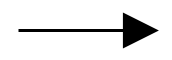 Unidirectional arrow